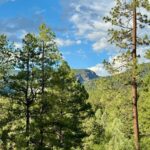 Property photo for land for sale in Rio Arriba County New Mexico