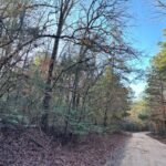 Property photo for land for sale in Marion County Texas