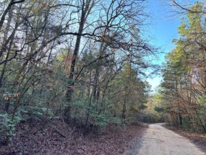 Property photo for land for sale in Marion County Texas