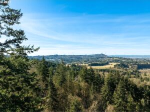 Property photo for land for sale in Cowlitz County Washington