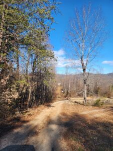 Property photo for land for sale in Alexander County North Carolina