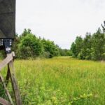 Property photo for land for sale in Morehouse County Louisiana