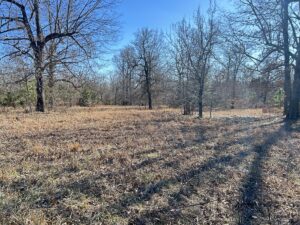 Property photo for land for sale in Sharp County Arkansas