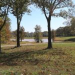 Property photo for land for sale in Howell County Missouri