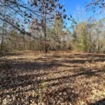 Property photo for land for sale in Cass County Texas