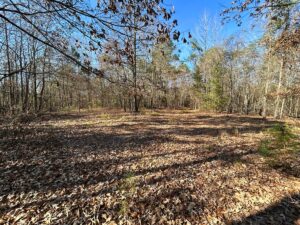 Property photo for land for sale in Cass County Texas