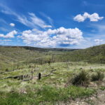 Property photo for land for sale in Stillwater County Montana