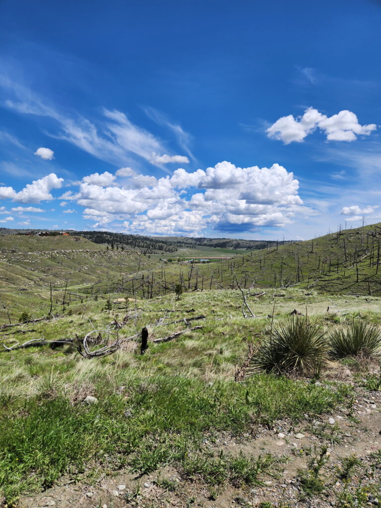 Property photo for land for sale in Stillwater County Montana