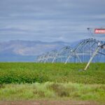 Property photo for land for sale in Culberson County Texas