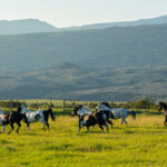 Property photo for land for sale in Eagle County Colorado