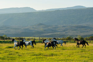 Property photo for land for sale in Eagle County Colorado