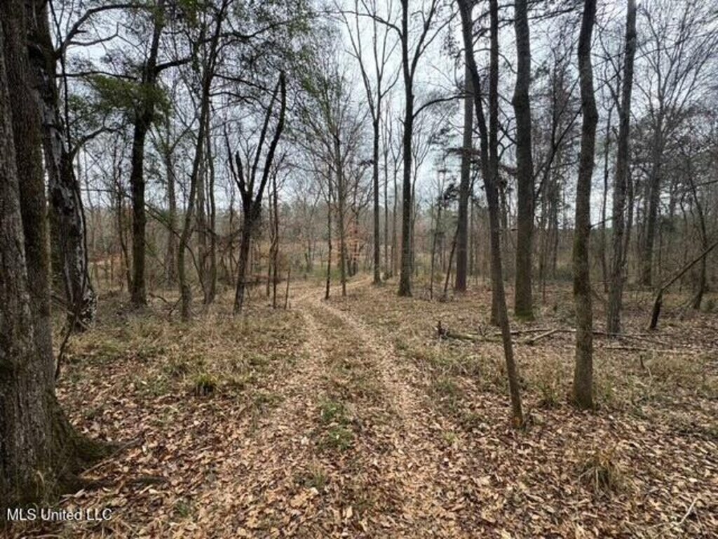 Property photo for land for sale in Franklin County Mississippi