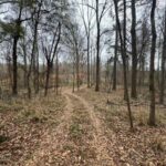 Property photo for land for sale in Franklin County Mississippi