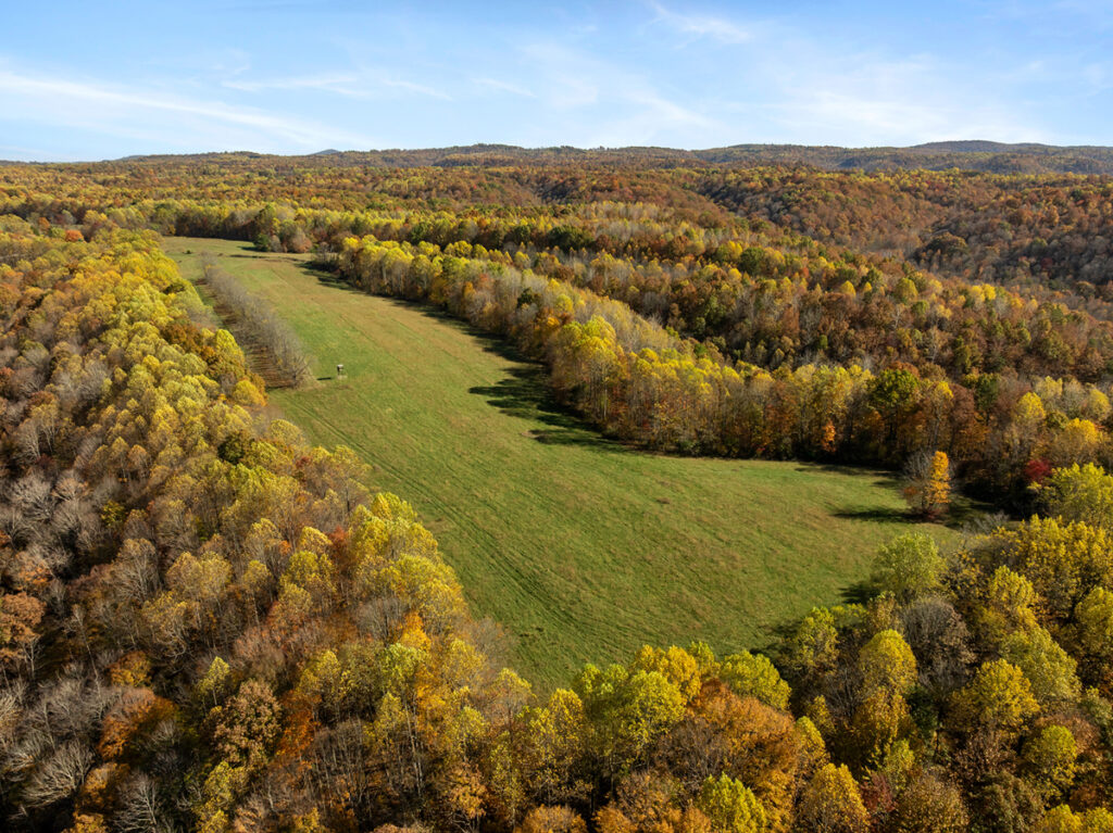 Property photo for land for sale in Casey County Kentucky
