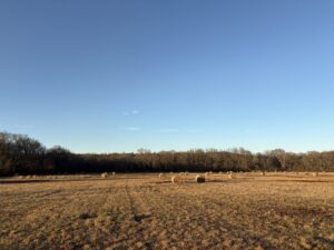 Property photo for land for sale in Latimer County Oklahoma
