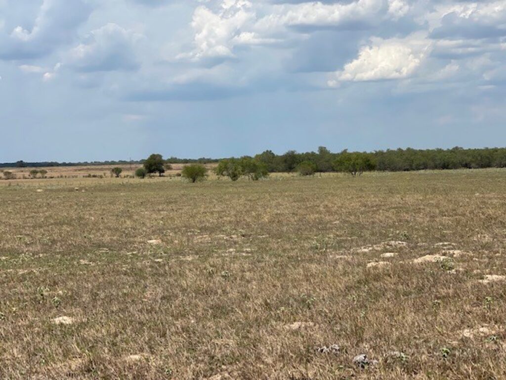 Property photo for land for sale in Wilson County Texas