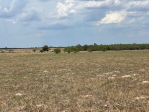 Property photo for land for sale in Wilson County Texas