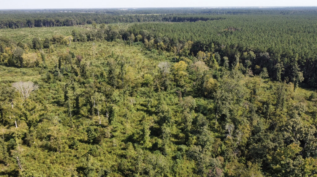 Property photo for land for sale in Morehouse County Louisiana