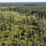 Property photo for land for sale in Morehouse County Louisiana