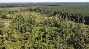 Property photo for land for sale in Morehouse County Louisiana