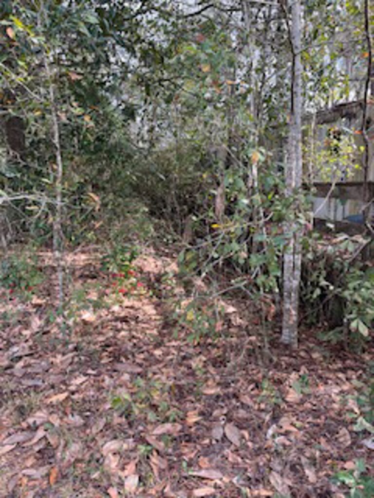 Property photo for land for sale in Jefferson County Florida