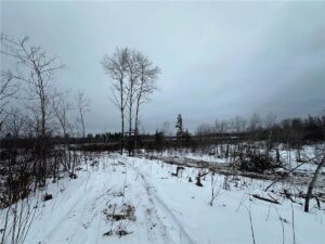Property photo for land for sale in Pine County Minnesota