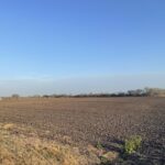 Property photo for land for sale in San Patricio County Texas