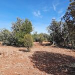 Property photo for land for sale in Yavapai County Arizona