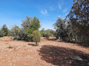 Property photo for land for sale in Yavapai County Arizona