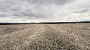 Property photo for land for sale in Gentry County Missouri