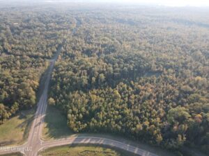 Property photo for land for sale in Hinds County Mississippi