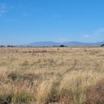 Property photo for land for sale in Torrance County New Mexico