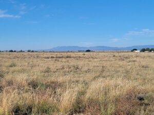 Property photo for land for sale in Torrance County New Mexico