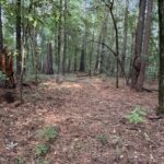 Property photo for land for sale in Cass County Texas