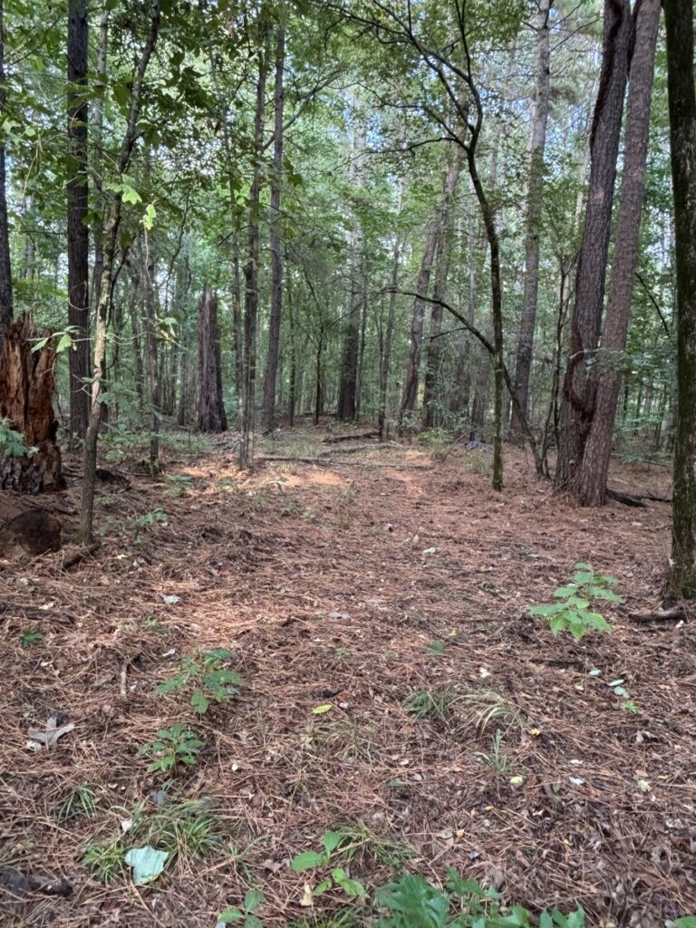 Property photo for land for sale in Cass County Texas
