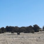 Property photo for land for sale in Yavapai County Arizona