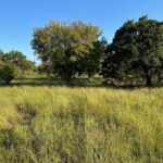 Property photo for land for sale in Brown County Texas