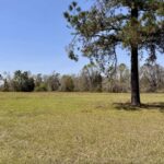 Property photo for land for sale in Hamilton County Florida