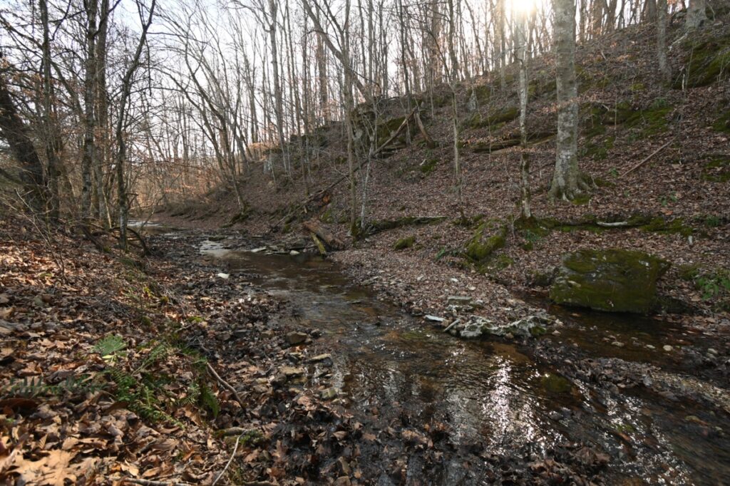 Property photo for land for sale in Perry County Tennessee