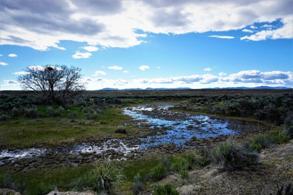 Property photo for land for sale in Elko County Nevada