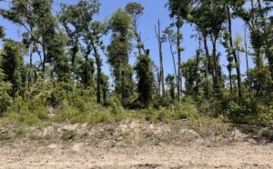 Property photo for land for sale in Hamilton County Florida