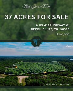 Property photo for land for sale in Henderson County Tennessee
