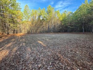 Property photo for land for sale in Sequatchie County Tennessee