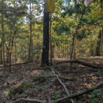 Property photo for land for sale in  County Missouri
