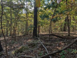 Property photo for land for sale in  County Missouri