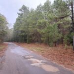 Property photo for land for sale in Cass County Texas