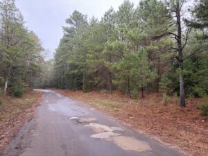 Property photo for land for sale in Cass County Texas