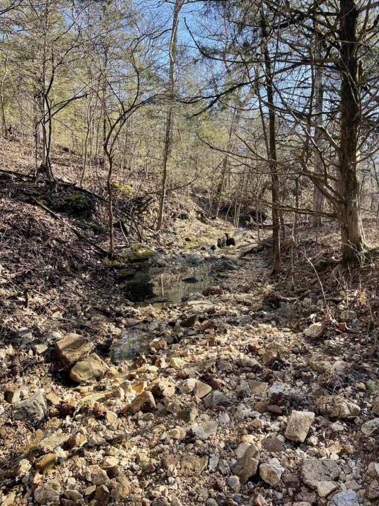 Property photo for land for sale in Ozark County Missouri