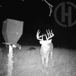 Property photo for land for sale in Jewell County Kansas