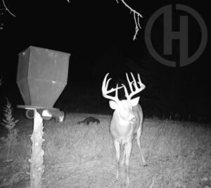 Property photo for land for sale in Jewell County Kansas